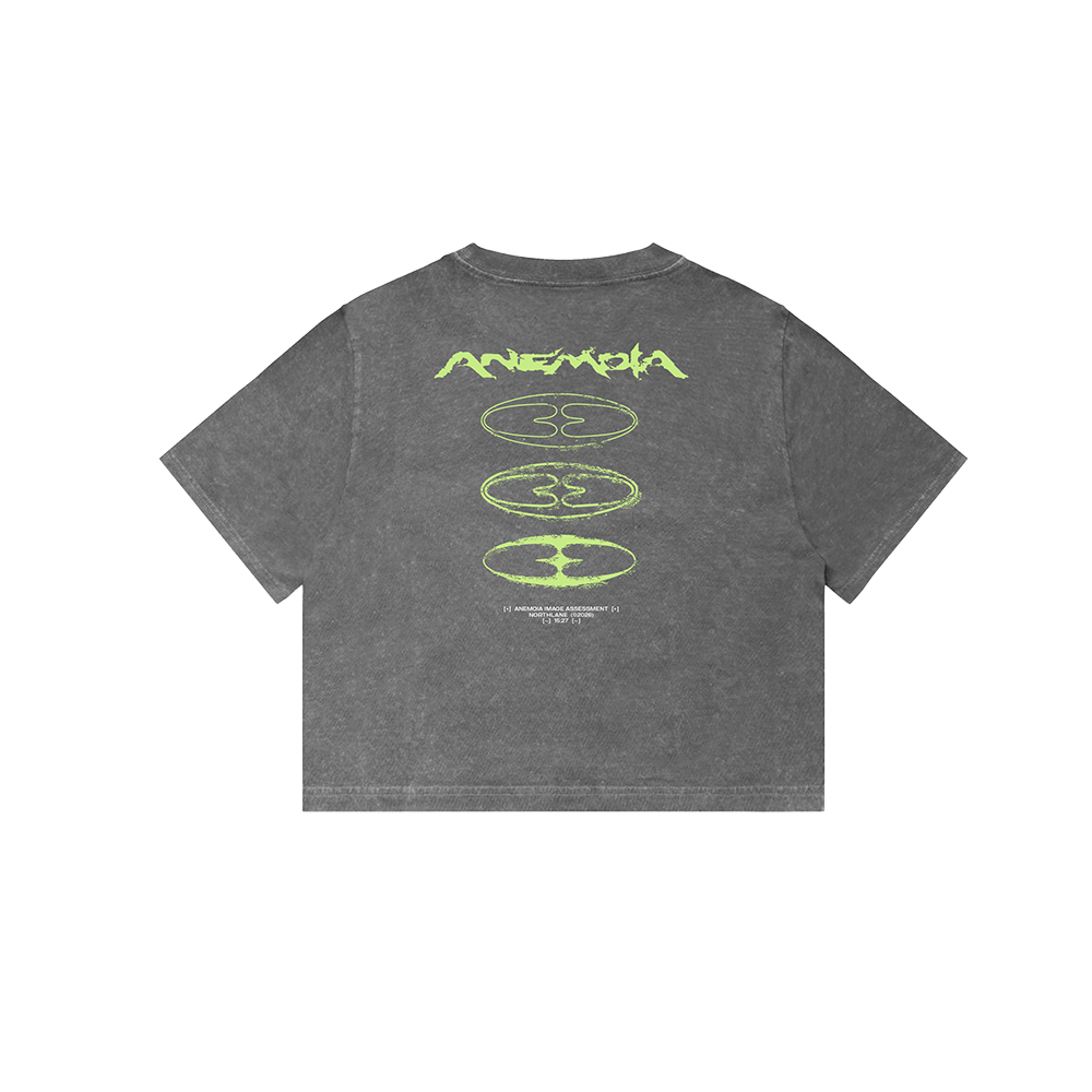 Anemoia Crop Top *PRE-ORDER*